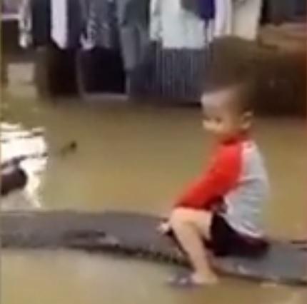 Anumiți părinți sunt cu adevărat inconștieți! Și-au lăsat copilul să se joace cu un piton de 80 de kilograme, chiar &icirc;n fața lor. Se putea &icirc;nt&acirc;mpla o tragedie!