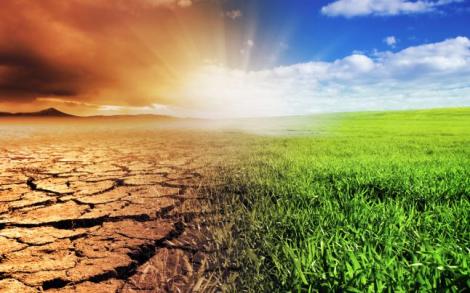 Ce ne așteaptă? România va fi grav afectată de schimbările climatice în următorii ani! ”Nu este exclus ca din 2021 să avem nopți tropicale”