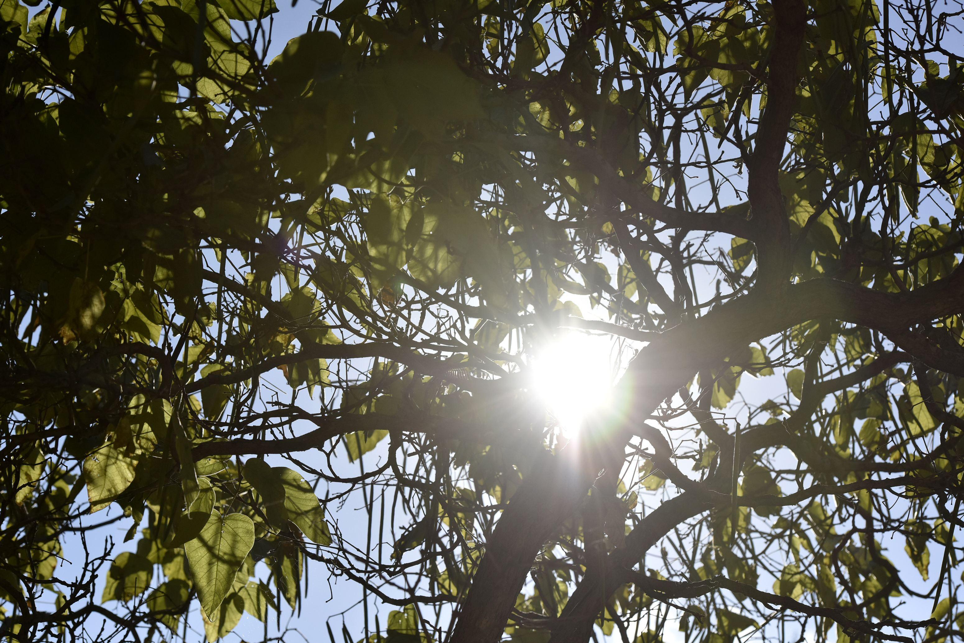 Astăzi și m&acirc;ine, vremea se va &icirc;ncălzi &icirc;n toată țara. Cum se explică acest fenomen tocmai &icirc;n octombrie