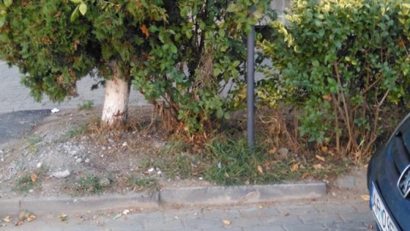 FOTO VIRALĂ pe net! Trecere de pietoni din faţa unei şcoli din Arad, inutilizabilă pentru că la ambele capete sunt spaţii verzi, cu gard viu, prin care nu se poate trece
