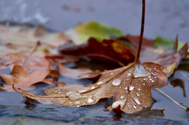 Prognoza meteo pentru următoarele două săptăm&acirc;ni! Vremea va fi capricioasă: frig şi ploi