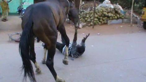 Șocant! Și-a bătut calul, iar acesta s-a răzbunat! Un bărbat din Botoșani a fost călcat și mușcat de animalul pe care l-a lovit