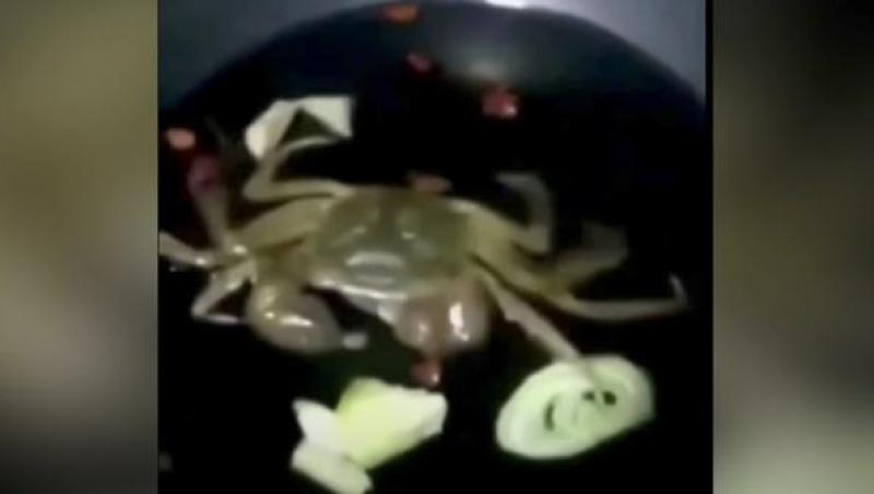 Imagini îngrozitoare! Un crab este gătit de viu, în timp ce mânâncă ingredientele din tigaie (VIDEO)