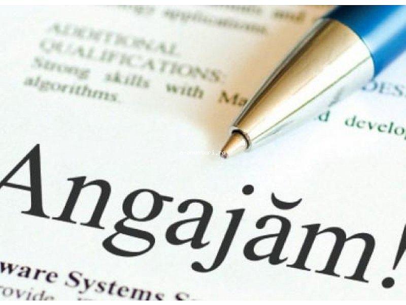 Se fac angajări! 5.000 de locuri de muncă pentru rom&acirc;ni! Salariul poate depăși 1.500 de euro