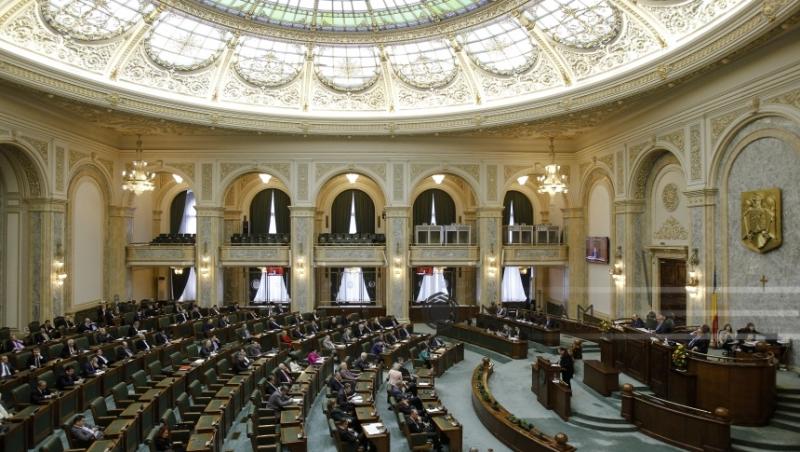 Încă o zi liberă pentru români?! Senatul a adoptat legea privind instituirea ”Zilei Minorităţilor Naţionale din România” ca sărbătoare naţională