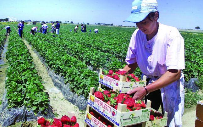 Ministerul Afacerilor Externe a făcut un ANUNȚimportant pentru rom&acirc;nii din străinătate. Pot beneficia de sume importante de bani cu o singură condiție