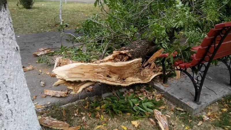 UPDATE! Un copac a căzut peste o aripă a spitalului Obregia; până la această oră au fost doborâţi de vânt 65 de copaci şi au fost distruse 41 de maşini
