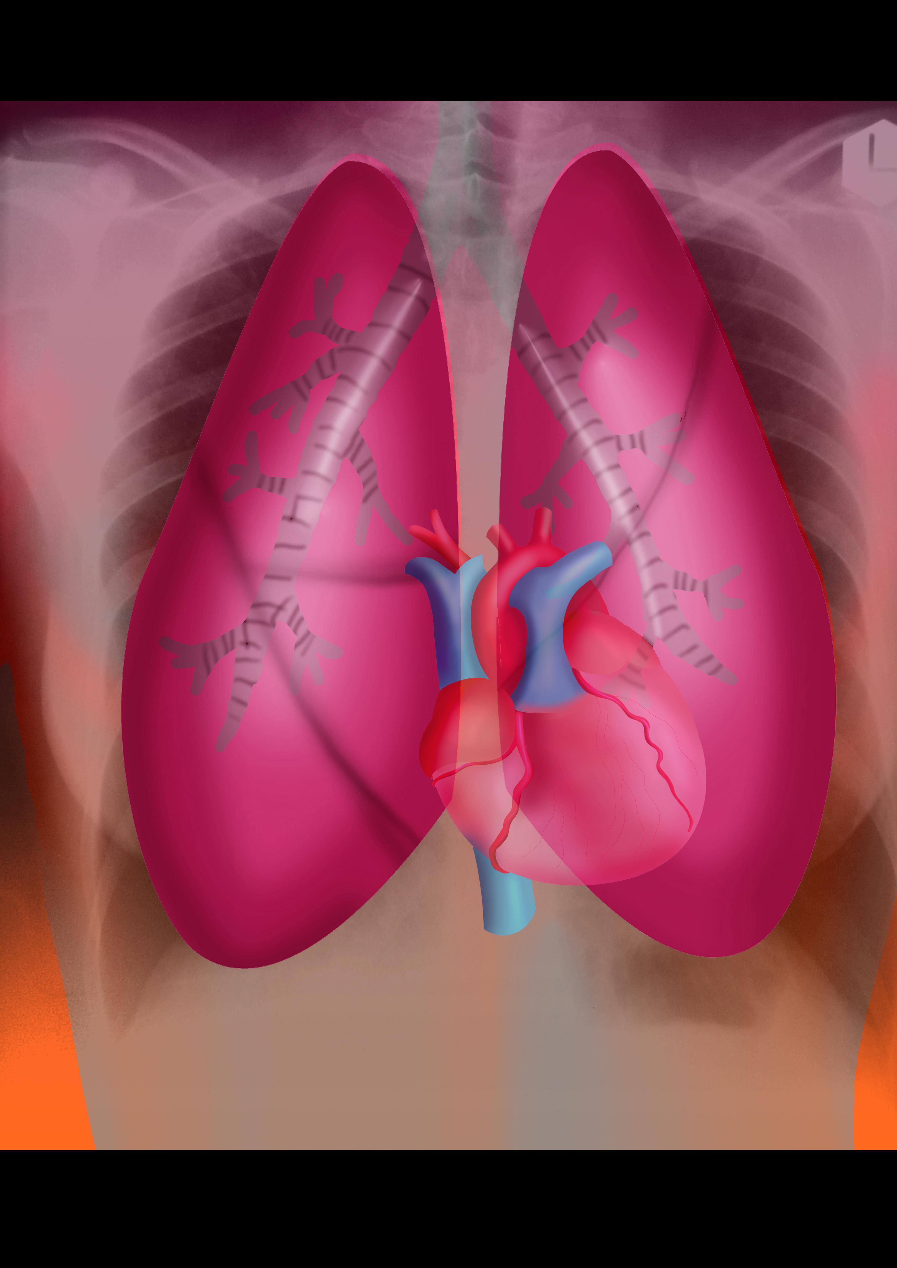 5 lucruri adevărate despre care nu știai că există. Sigur nu ai auzit de aceste ciudățenii!