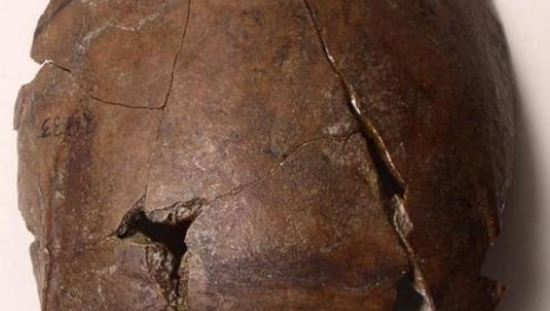 Arheologii au luat jungla amazoniană la pas, iar efortul a meritat cu prisosință! ''Craniul aparține, cel mai probabil, primei victime cunoscute a unui tsunami!”