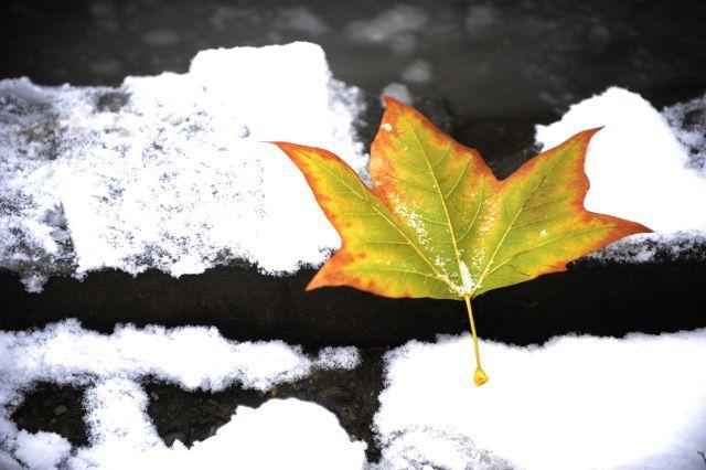 Iarnă peste Rom&acirc;nia! Un val de ceață a pus stăp&acirc;nire pe Capitală și pe alte 12 județe. Ce urmează &icirc;n weekend?