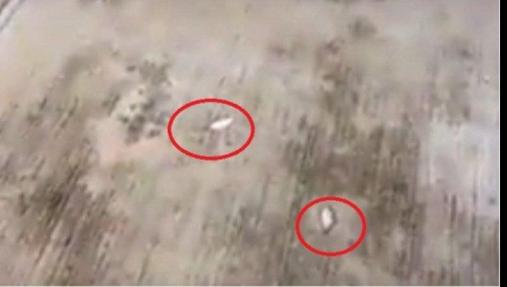 Video. Fenomen bizar, după cutremurul devastator din Mexic: A plouat cu... peşti!