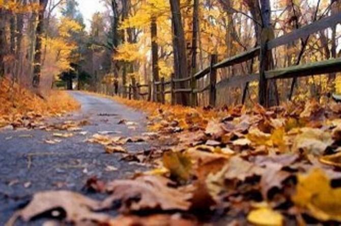 Prognoza meteo pentru weekend: Vreme mohor&acirc;tă, ploi şi temperaturi scăzute