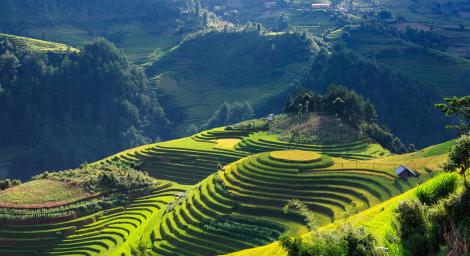 Vietnam, o țară care îți întrece așteptările. Iată 10 lucruri despre ea care îți vor îmbunătăți cultura generală