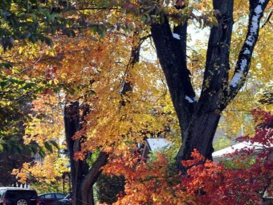 Va fi extrem de cald &icirc;n perioada următoare! Temperaturi de vară la mijlocul toamnei!