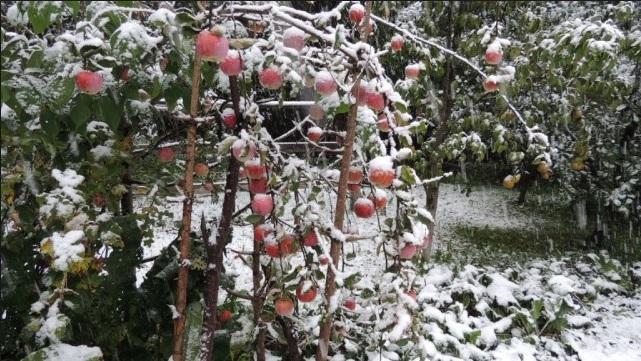 Ultimele zile de căldură! Meteorologii au anunțat că &icirc;n weekend va ninge. Prognoza meteo pentru următoarea perioadă
