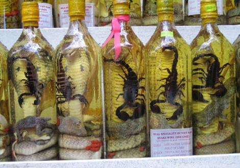 Avem dovada că Vietnam este una dintre cele mai ciudate destinații! Vinul afrodisiac cu șerpi și cu scorpioni este băutura lor tradițională