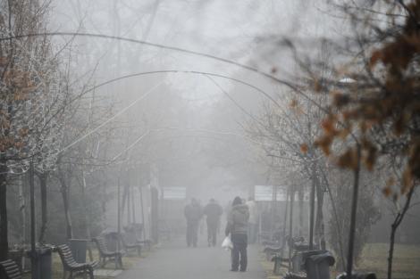 Meteorologii au emis avertizare COD GALBEN: Va fi ceață în 24 de județe și în Capitală