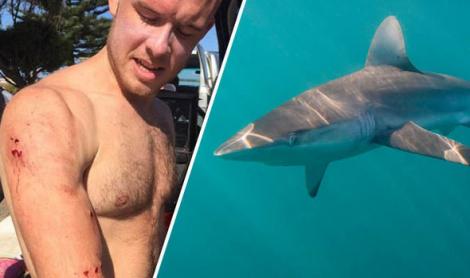 S-a luat la "trântă" cu un rechin de doi metri și a câștigat! Un surfer s-a salvat, după ce i-a tras un pumn în nas: "L-am văzut ieșind din apă, cu dinții"