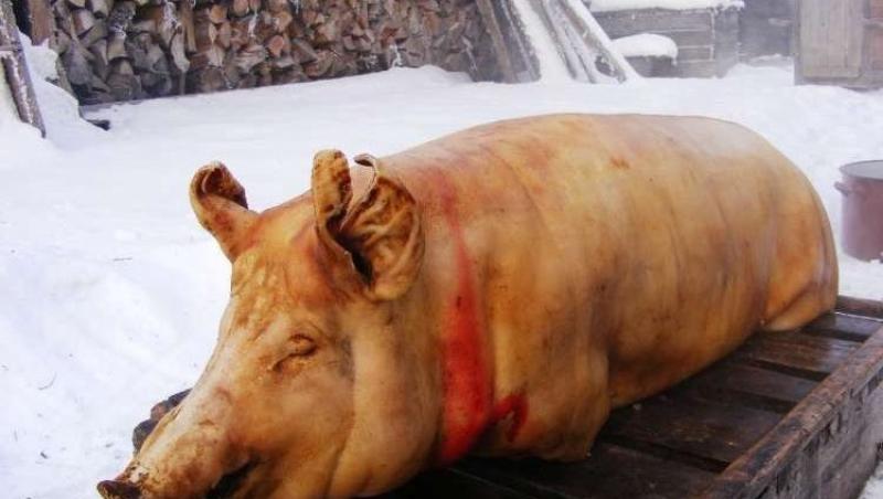 Adevărul pe care medicii refuză să ni-l spună! Ce nu știu românii despre carnea de porc.