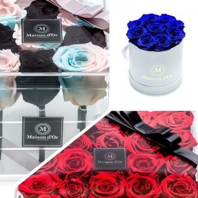 Trandafirii nemuritori, modalitatea rafinata de a transmite sentimente