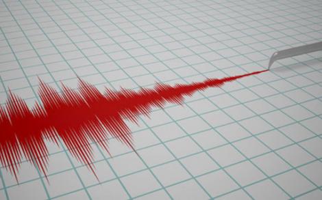 Cutremur în România! Un nou seism de s-a produs în această dimineață, în județul Vrancea