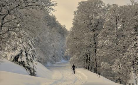 Vom avea cea mai grea iarnă din ultimii cinci ani! Cum va fi vremea în ianuarie şi februarie!