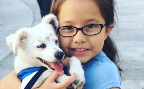 O fetiţă din Iaşi &icirc;și vinde jucăriile pentru a avea grijă de c&acirc;inele adoptat! Să re&icirc;nvăţăm de la ea să redevenim copii!