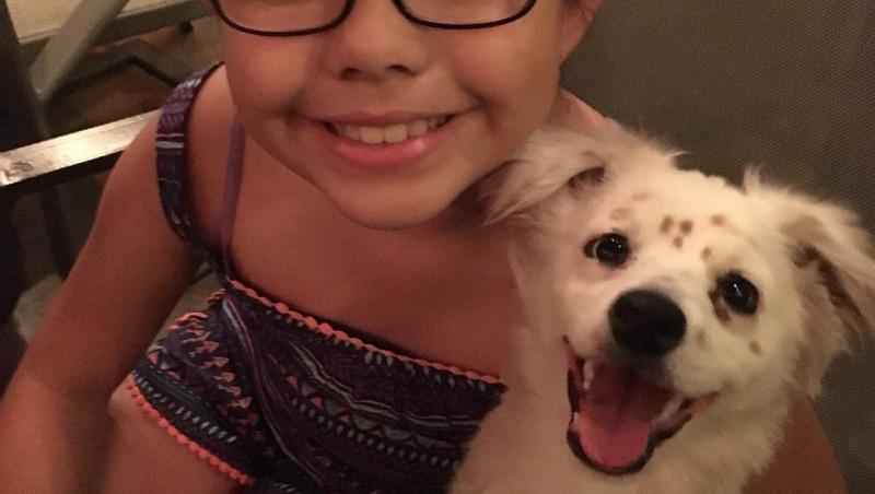 O fetiţă din Iaşi își vinde jucăriile pentru a avea grijă de câinele adoptat! Să reînvăţăm de la ea să redevenim copii!