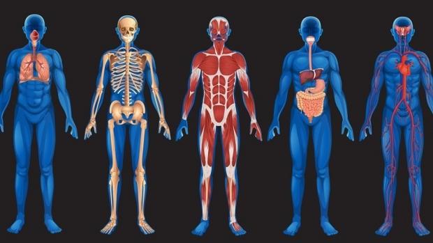 Cercetătorii, din ce &icirc;n ce mai &icirc;ngrijoraţi. Ce se va &icirc;nt&acirc;mpla &icirc;n c&acirc;ţiva ani cu oamenii: "Vor fi pe cale de dispariţie"