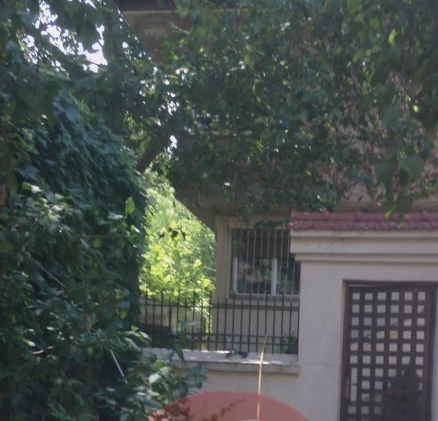 Poliția se află la locuința Stelei Popescu! E agitație mare &icirc;n curtea regretatei artiste!