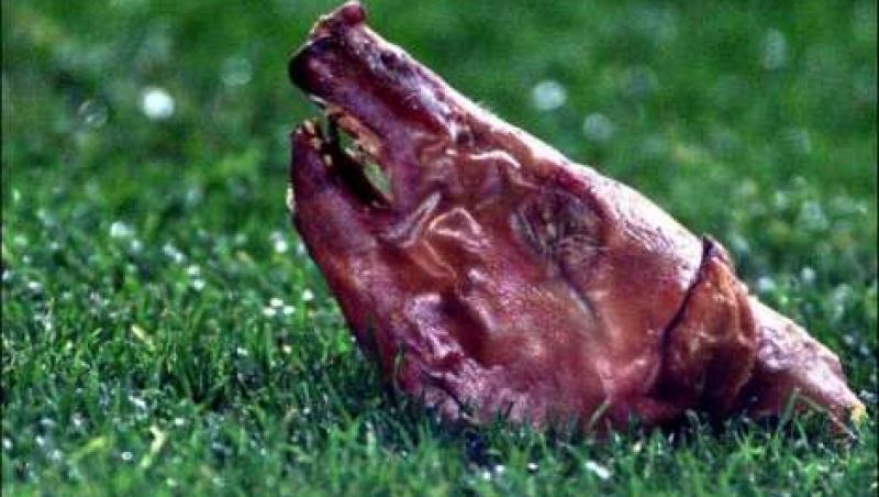 De la ”miile de Euro” aruncate de fanii lui Bayern, la capul de porc aruncat asupra lui Figo de catalani! Cele mai şocante lucruri aruncate de fani pe terenurile de fotbal