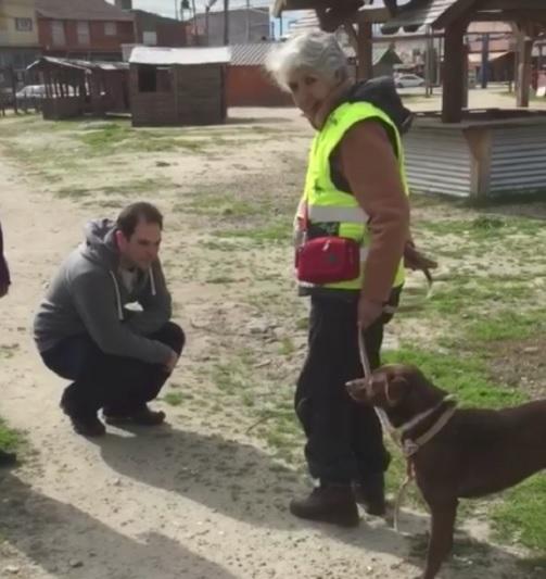 Nu i-a venit să creadă că e adevărat! Reacția de milioane a unui c&acirc;ine atunci c&acirc;nd &icirc;și revede stăp&acirc;nul după doi ani!