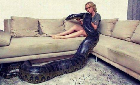 Și-a cumpărat un șarpe uriaș, iar reptila avea obiceiul să se așeze în spatele tinerei. Specialiștii au sfătuit-o să îl vândă imediat!