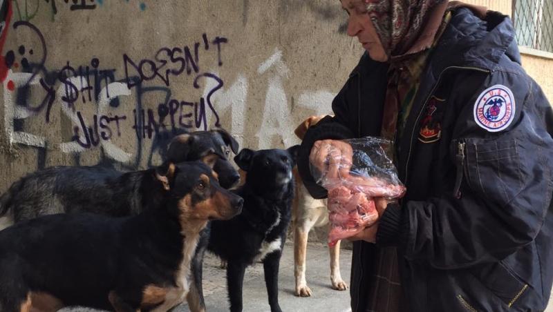 Povestea unei bătrâne din Suceava şi a câinilor săi. Este singură pe lume,  iar din pensia ei mică își hrănește singurii prieteni: 