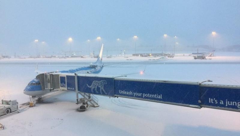 Mai mulţi români sunt blocaţi pe aeroportul Luton din Londra, din cauza ninsorilor!