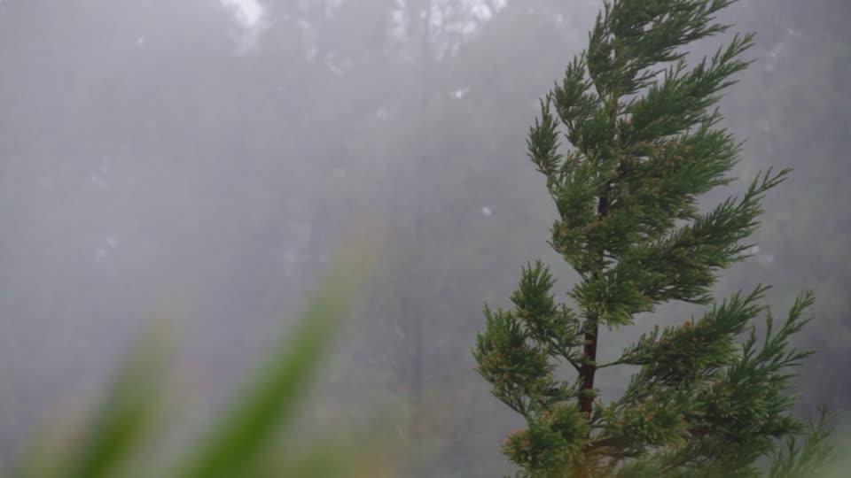 MAE a emis o nouă atenționare de călătorie: Cod galben de v&acirc;nt puternic pentru 16 regiuni din Bulgaria!