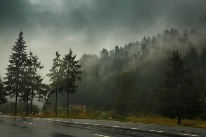 Atenţie, şoferi, cod galben de ceaţă! Care sunt judeţele afectate
