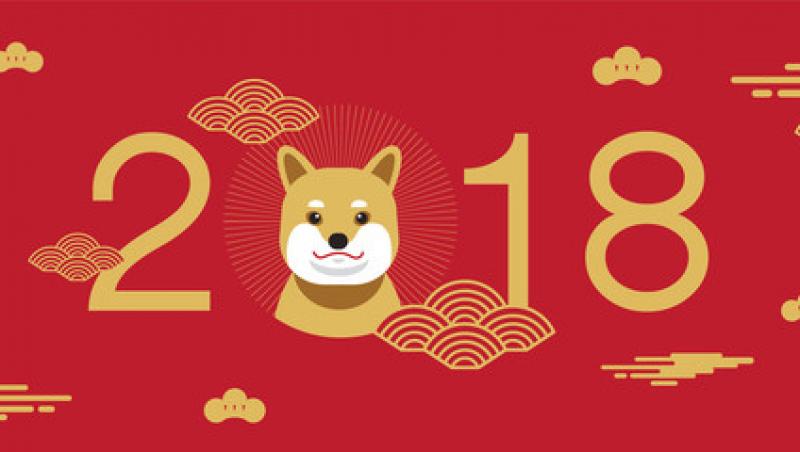 Horoscopul chinezesc nu dă greș niciodată! 2018 este anul Câinelui de Pământ, ce aduce vești importante pentru toate zodiile!