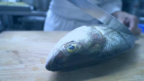 Cea mai mare ciudățenie a momentului! Un bărbat a filmat momentul în care un pește făcut bucăți revine la viață!