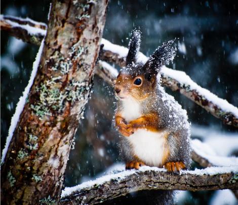 În ianuarie şi februarie, vine iarna, iar din martie începe o primăvară călduroasă!