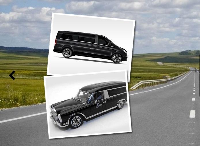 Repatrierea rudelor decedate peste granite &ndash; informatii esentiale