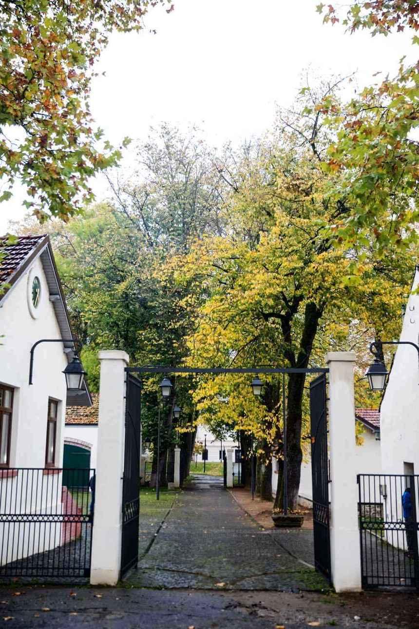 Regele Mihai a murit. Locuitorii din Săv&acirc;rşin, locul de suflet pe care Majestatea Sa &icirc;l numea ACASĂ: &bdquo;Ne-am obişnuit cu regele aici de Crăciun! Obişnuia să viziteze bătr&acirc;nii singuri şi să le ducă mici cadouri&rdquo;