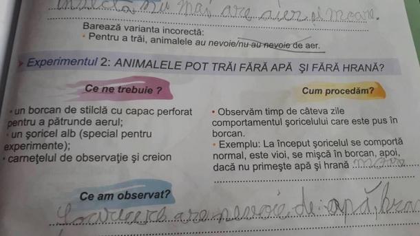 &bdquo;Cum să asiști la agonia unor șoricei privați treptat de apă și de hrană p&acirc;nă la moarte!&rdquo; Cerința revoltătoare dintr-un manual de clasa a II-a