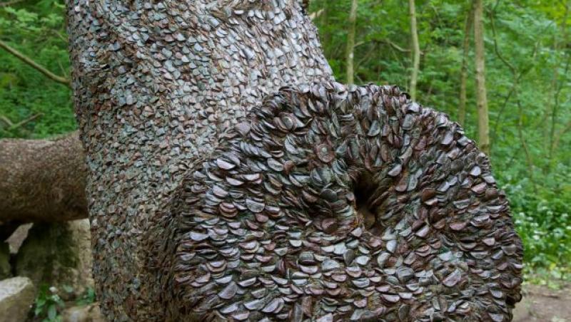 Cine spune că banii nu cresc în copaci? Iată pădurea cu cei mai neobișniți arbori din lume