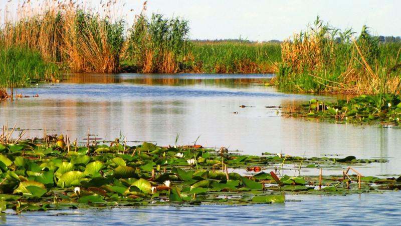 Delta Dunării,  cea mai inspirată destinație de vacanță pentru 2018