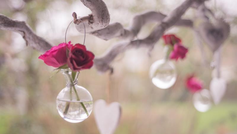 Valentine's Day te-a prins pe picior greșit? Aici găsești cele mai frumoase mesaje pentru persoana iubită. Romantic sau amuzant?