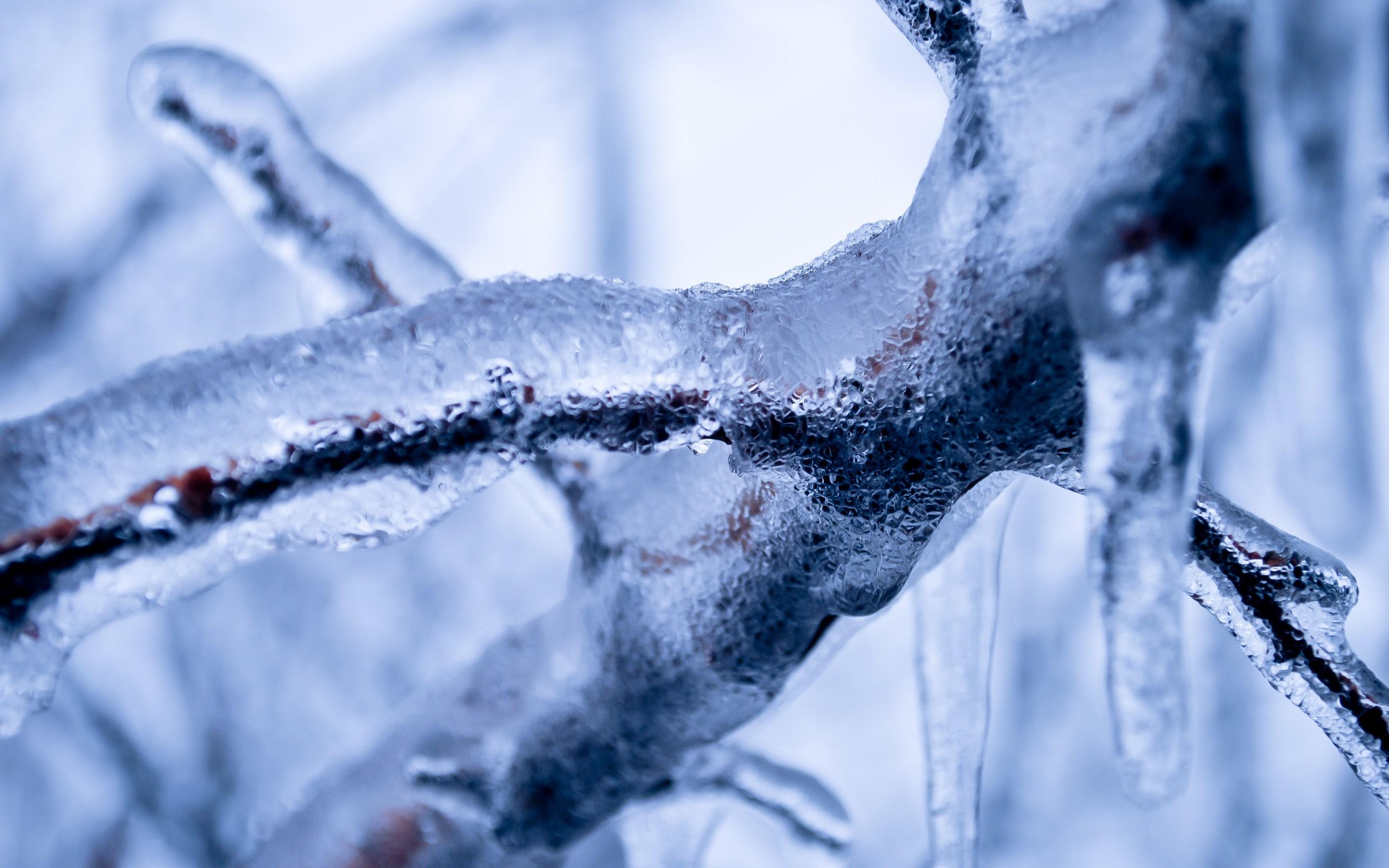 Vremea se schimbă radical! Se &icirc;ntorc ninsorile și frigul! Ce spun meteorologii