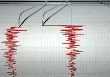 România s-a cutremurat! Un nou seism a avut loc în județul Vrancea