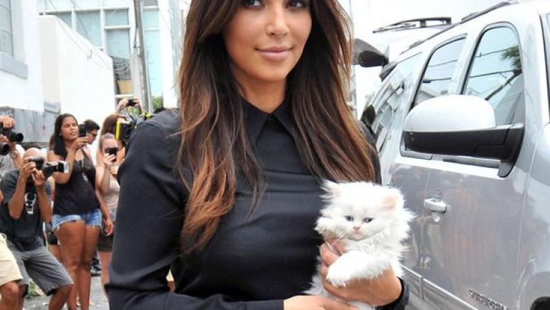 Ea este Mercy, pisicuța lui Kim Kardashian! Are o poveste foarte tristă care te va face să plângi!