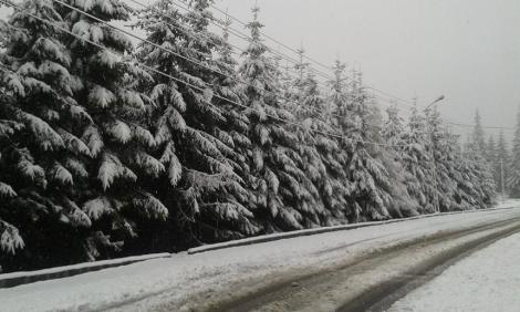 Răcire bruscă a vremii, de la 20 de grade la temperaturi sub limita înghețului! Prima zi din weekend aduce ninsori și ploi în toată țara!